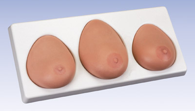 高級乳房檢查模型(一套三部件)