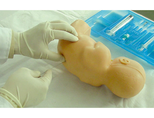 新生兒腰穿刺模型