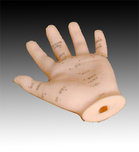手針灸模型13CM