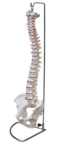 ģͣɏ