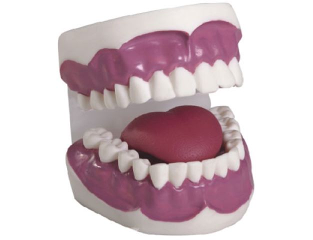 o(h)ģͣŴ