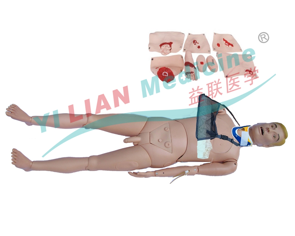 真實體重野戰(zhàn)基礎(chǔ)傷情模擬人