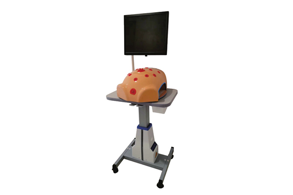 宮腔鏡模擬訓練器