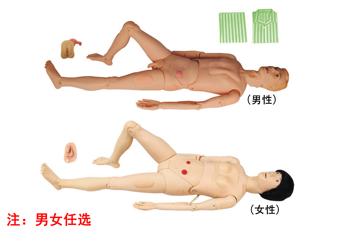 高級組合式基礎(chǔ)護理人訓(xùn)練模型